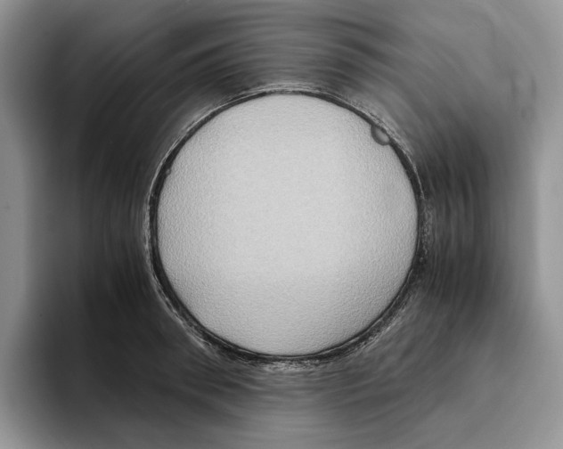 X0000096220898200802151520