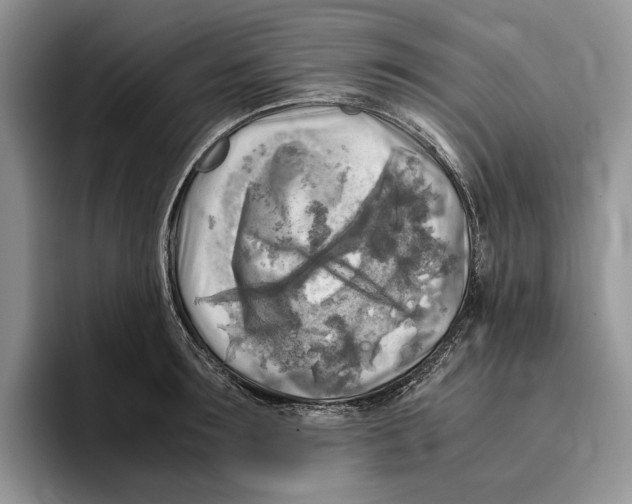 X0000096220899200802151520