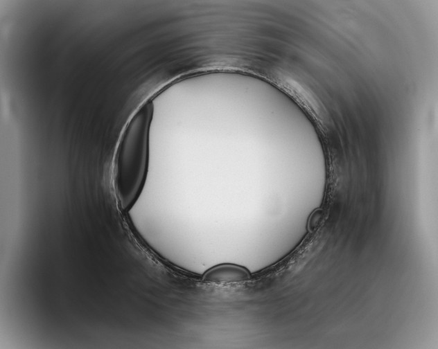 X0000096220900200802151520