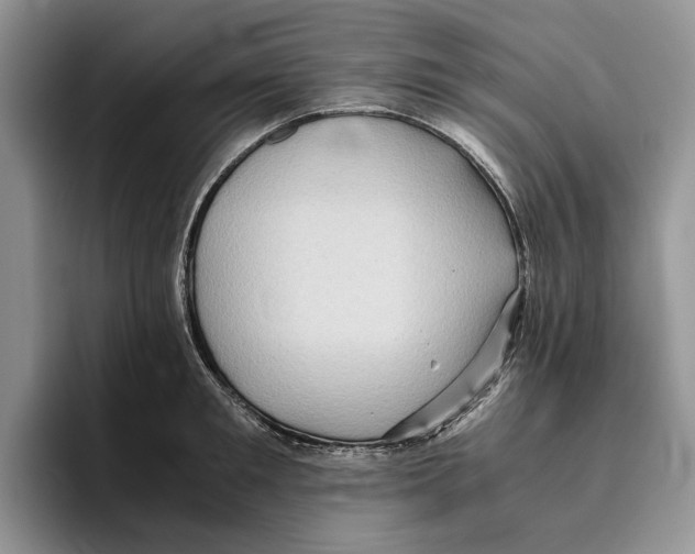 X0000096220901200802151520