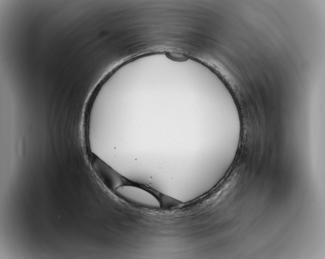 X0000096220902200802151520