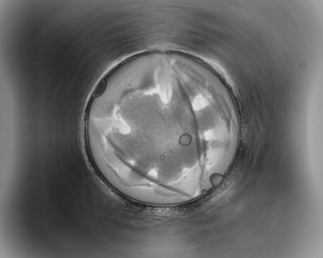 X0000096220903200802151520