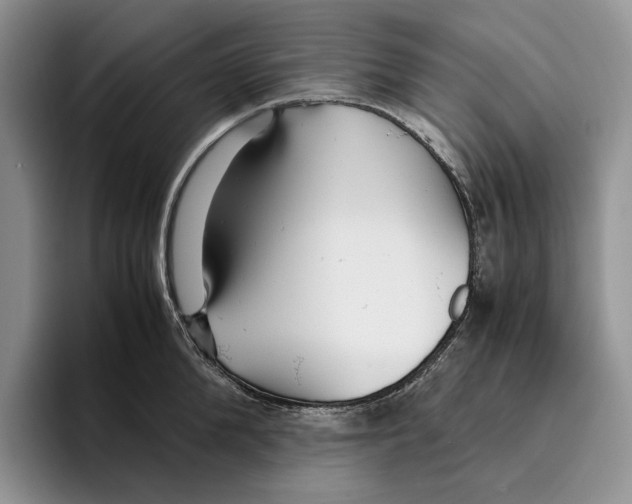 X0000096220904200802151519