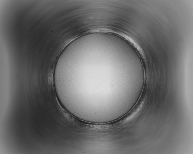 X0000096220905200802151519