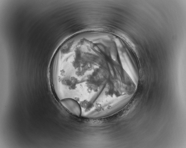 X0000096220907200802151519