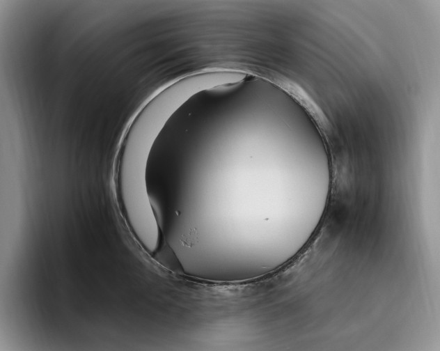 X0000096220908200802151519