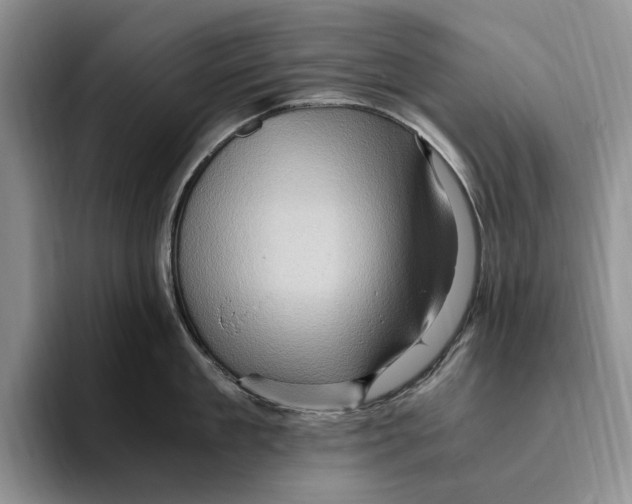 X0000096220909200802151519