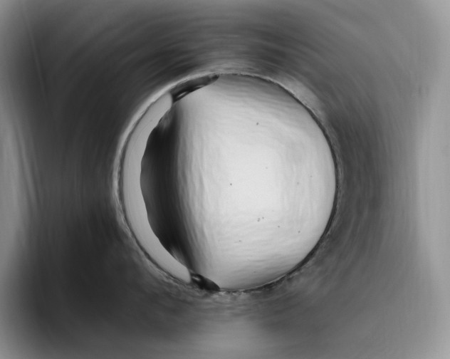 X0000096220912200802151519