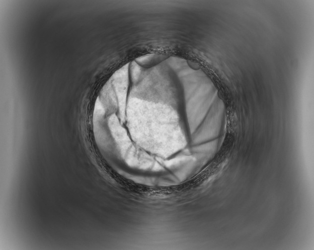 X0000096220913200802151519