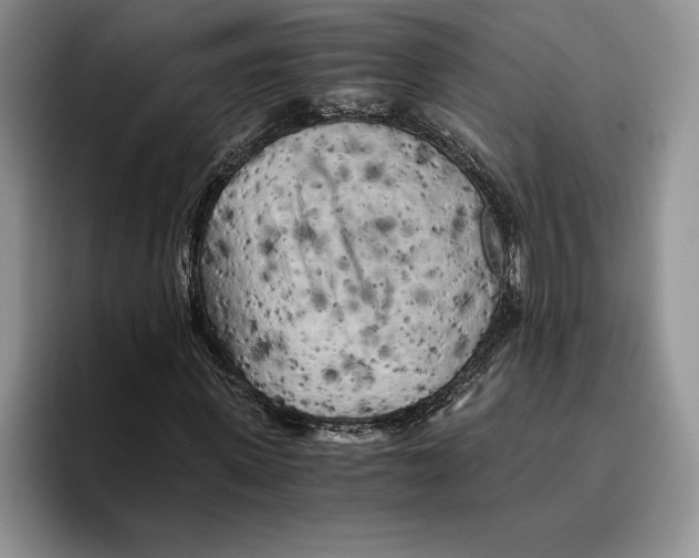 X0000096220915200802151519