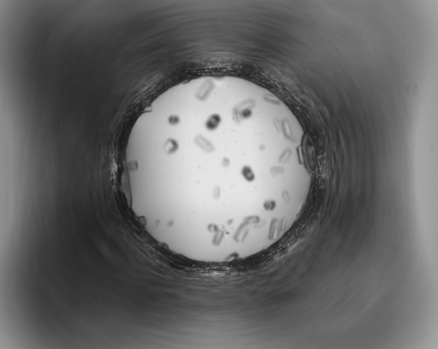 X0000096220916200802151519