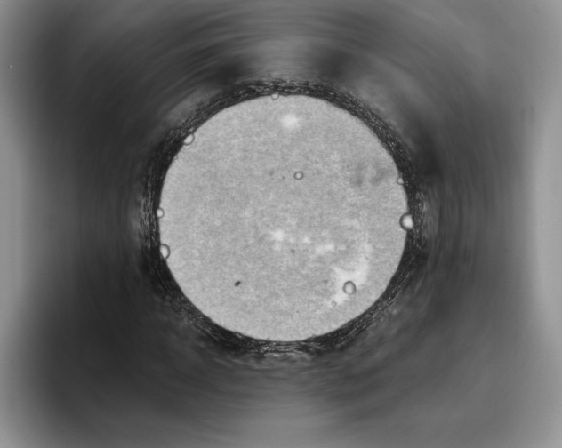 X0000096220918200802151519