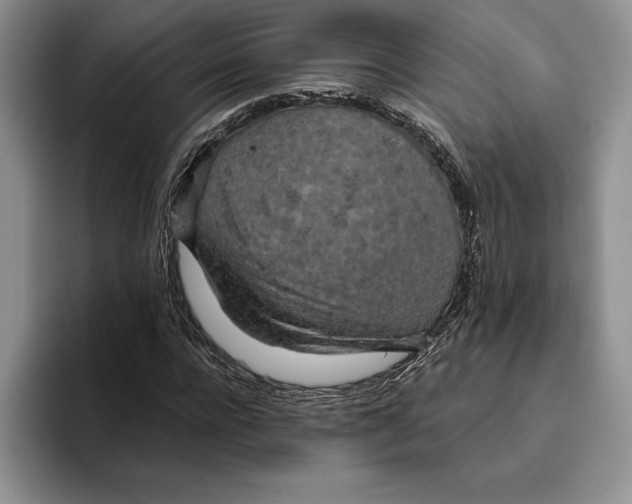 X0000096220920200802151519