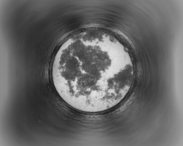 X0000096220921200802151519