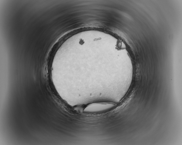 X0000096220923200802151519