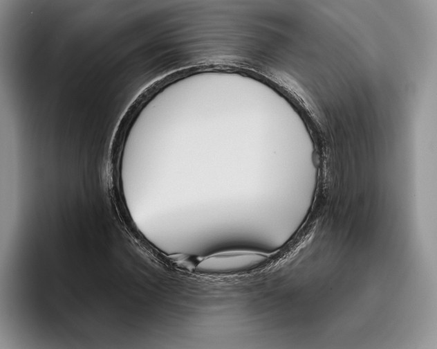 X0000096220924200802151519