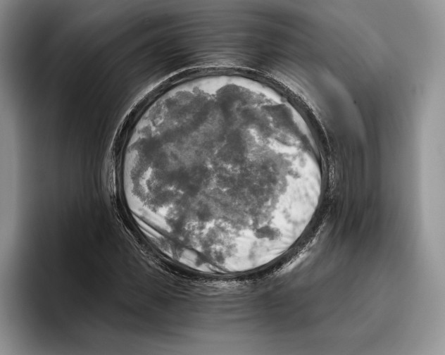 X0000096220925200802151519