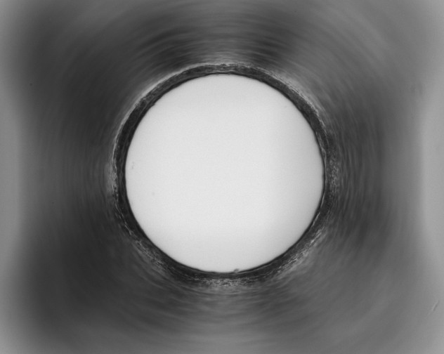 X0000096220927200802151519