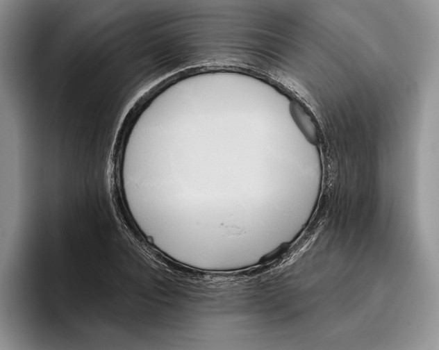 X0000096220928200802151519