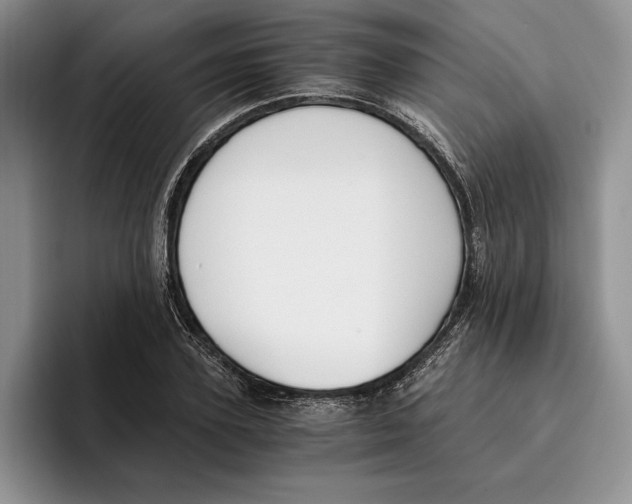 X0000096220931200802151519