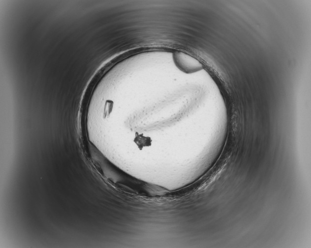 X0000096220932200802151519