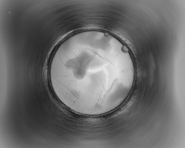 X0000096220933200802151519