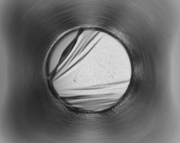 X0000096220934200802151519