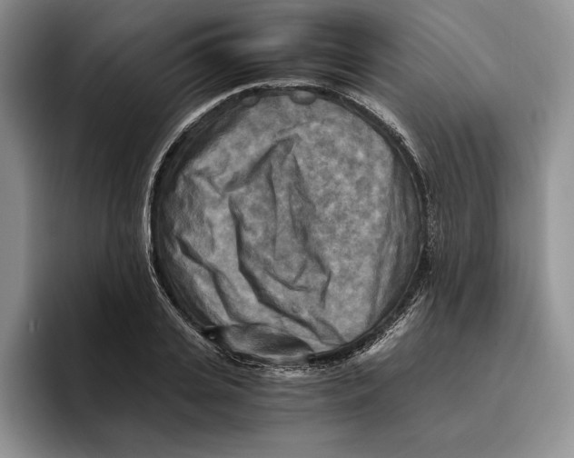 X0000096220935200802151519