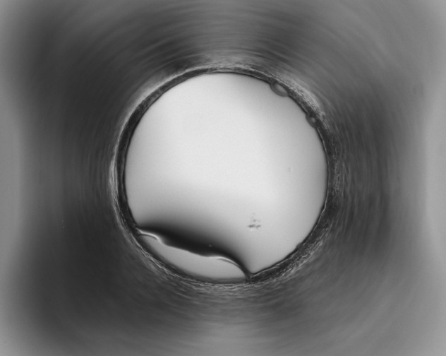 X0000096220936200802151519