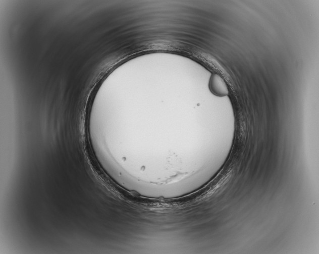 X0000096220938200802151519