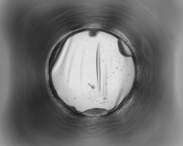 X0000096220939200802151519