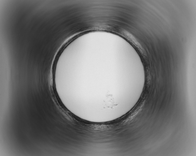 X0000096220940200802151519