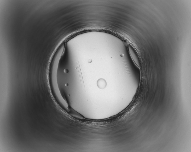 X0000096220942200802151519