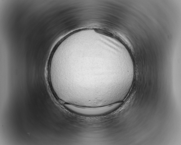 X0000096220944200802151519