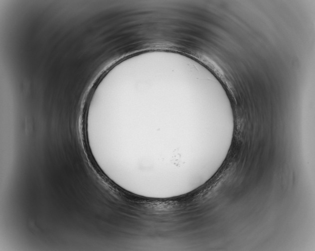 X0000096220947200802151519