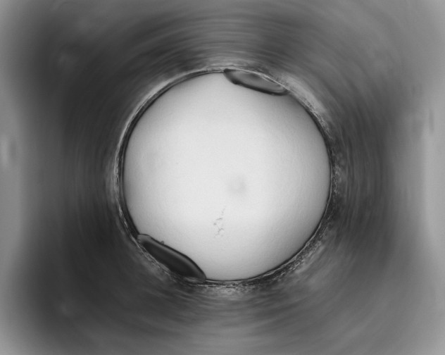 X0000096220948200802151519