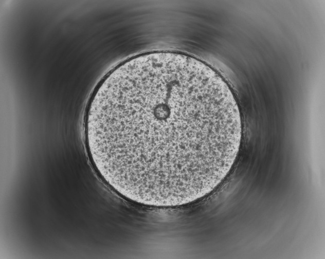 X0000096220950200802151519