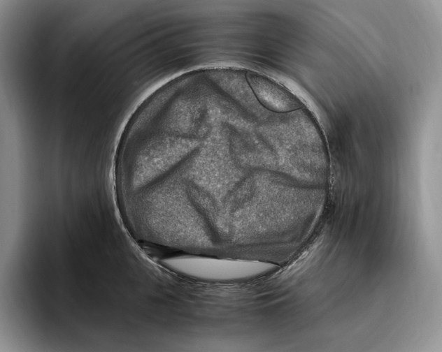 X0000096220951200802151519