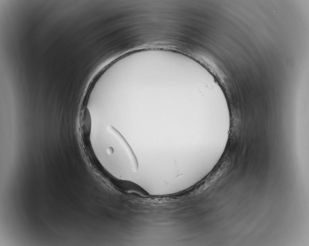 X0000096220952200802151519