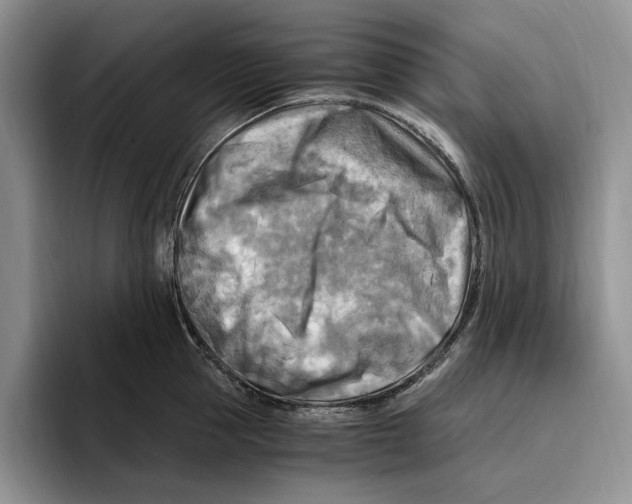 X0000096220953200802151519