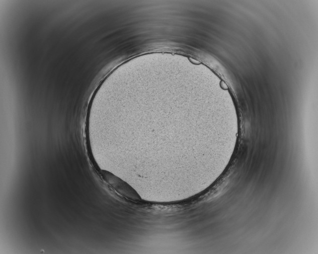 X0000096220954200802151519