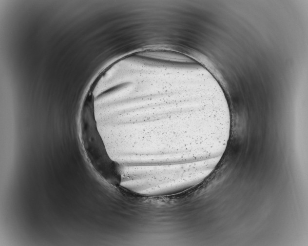 X0000096220955200802151519