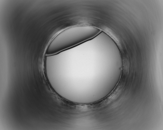 X0000096220956200802151519