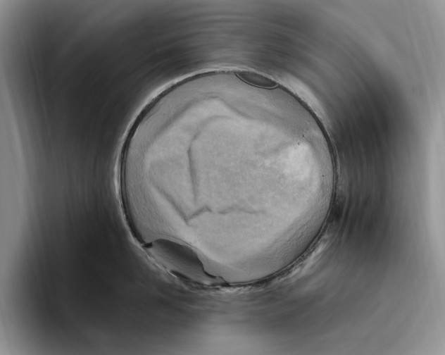 X0000096220958200802151519