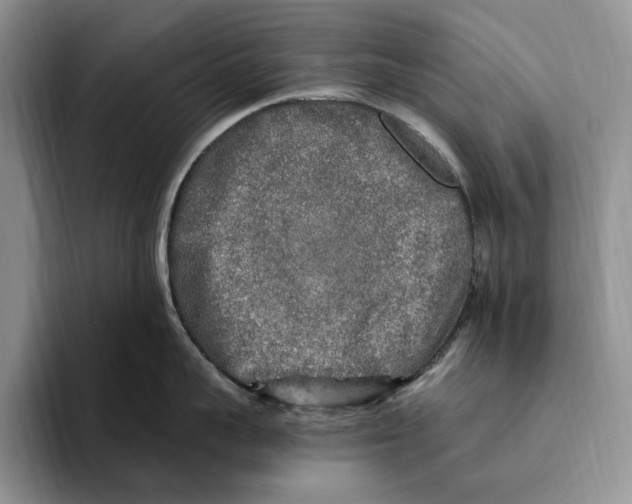 X0000096220959200802151519