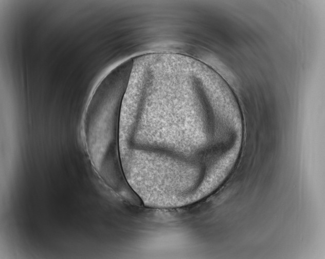 X0000096220960200802151519