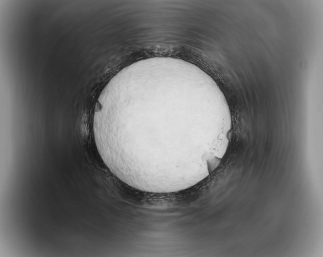 X0000096220962200802151519