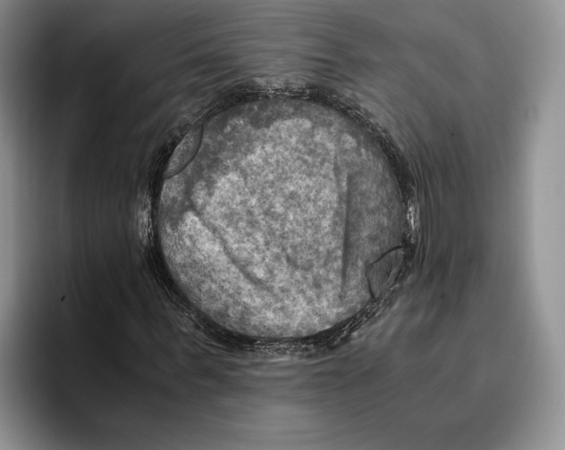 X0000096220963200802151519