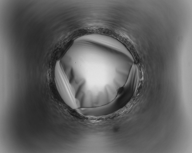 X0000096220965200802151519