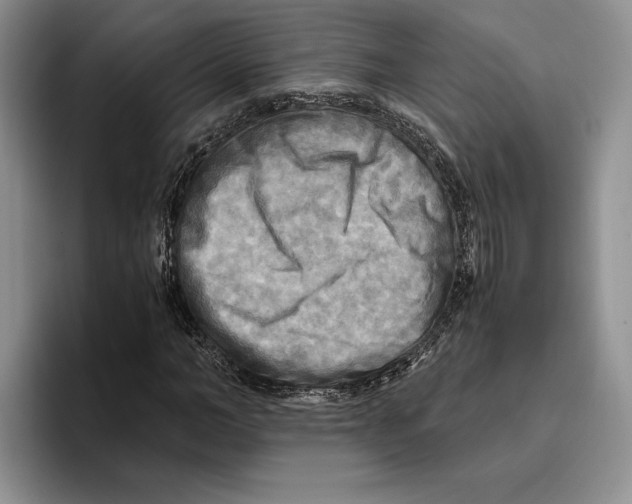 X0000096220966200802151519